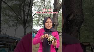 Ciki ciki berhadiah pesawat kreatif comedy lucu tips hiburan shortvideo [upl. by Assilana]