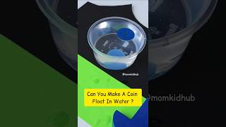 Can You Float A Coin On Water Magic Water Experiment Easy Science Activity Surface Tension stem [upl. by Kceb]