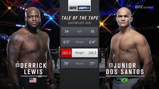 Junior dos Santos vs Derrick Lewis  HIGHLIGHTS HD  UFC Fight Night 146 [upl. by Ahsen]