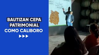 BAUTIZAN CEPA PATRIMONIAL COMO CALIBORO [upl. by Suoiradal]