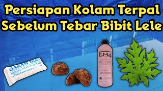 Persiapan Kolam Terpal Sebelum Tebar Bibit Lele [upl. by Katushka386]