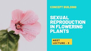 2 CELLED STAGE POLLEN VS 3 CELLED STAGE POLLEN  LECTURE 3 [upl. by Yelserp]