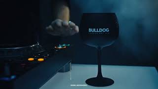 Liquid Beats Bulldog Gin x C2C Festival [upl. by Aneekas]