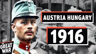 The Death Of The AustroHungarian Army 1916 Brusilov Offensive Documentary [upl. by Cerallua407]