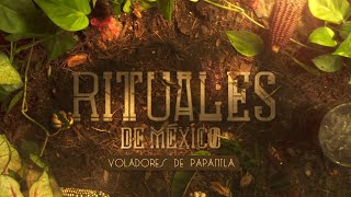 Rituales de México  Voladores de Papantla [upl. by Milone]