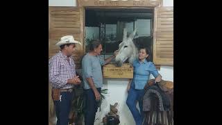 visita ilustre no haras xaxim [upl. by Ahsilac]