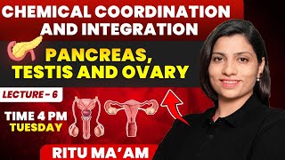 Pancreas Testis and Ovary Lecture 6  Chemical Coordination and Integration Ritu Rattewal [upl. by Lareneg]