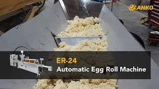 ANKO Automatic Egg Roll Machine [upl. by Aritak106]