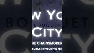 New york cityThe chainsmokersinstrumental remake [upl. by Nodnarb]