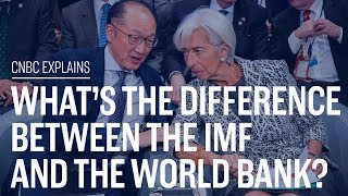 Whats the difference between the IMF and the World Bank  CNBC Explains [upl. by Aivek]