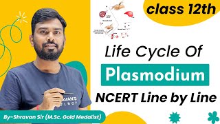 Malaria  Life Cycle of Plasmodium  Class 12  NEET Biology  Human Health and Diseases [upl. by Rimola828]