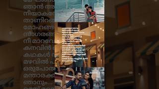 Chayamere mayum song lyrics thean kuruvikale  music song lyrics [upl. by Droffig]