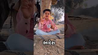 આદેશGujarati Comedy Short VideoSB HINDUSTANI [upl. by Esinned]