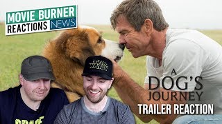 A Dogs Journey Trailer Reaction and Thoughts [upl. by Adlig]