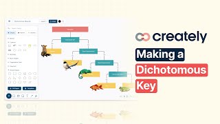 How to create a Dichotomous Key with Creately [upl. by Ingemar154]