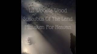 Lil Woodie Wood  Succubus Of The Land Mistaken For Heavan Prod Lil Woodie Wood [upl. by Guido]