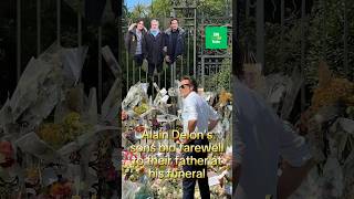 Alain Delon Funeral 🥹💔⚰️ alaindelon antesedepois beforeandafter [upl. by Weiman]