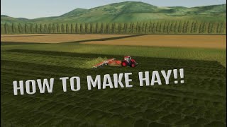 HOW TO MAKE HAY IN FARMING SIMULATOR 19 Also how to grow and mow grass PS4  PS5  FS19 [upl. by Eeralav]