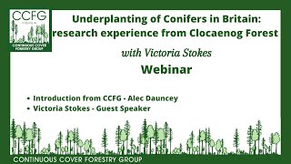 Underplanting of Conifers in Britain research experience from Clocaenog Forest [upl. by Gnet]