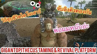 ARK Mobile มือถือ EP45 จับลิงคิงคองและสอนวิธีชุบชีวิตไดโนเสาร์ Gigantopithecus amp RevivalPlatform [upl. by Jariah]