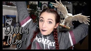 OWLs READING VLOG 1  Magical Readathon  April 2019 [upl. by Nodaj966]