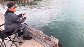 Fishing at Eaglehawk neck Tasmania [upl. by Gregorio339]