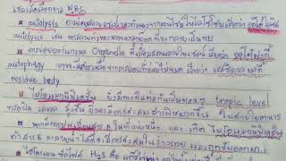 autolysis การย่อยสลายเซลล์ของตัวเอง [upl. by Reeba248]