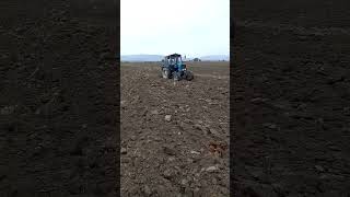 Payız sumu 2024 automobile agrar farming agrio agriculture agry agro agristar farm [upl. by Winfield654]