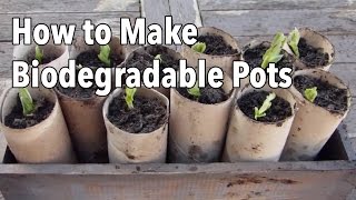 How to Make Biodegradable Plant Pots  Homemade Seed Starting Pots [upl. by Jacinthe]