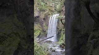 The Incredible Bulk  Hopetoun Falls  Great Otway National Park [upl. by Elletsirhc]