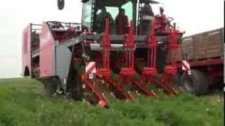 Dewulf ZKIV  4row selfpropelled carrot harvester [upl. by Sherrill689]