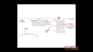 First Aid for the USMLE Step 1 IMMUNOLOGY  11  Cytokines Interferons [upl. by Ahsuatan]