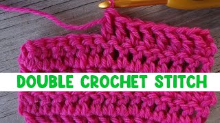 How to Work the Double Crochet Stitch [upl. by Einahpehs141]