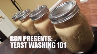 Yeast Harvesting and Washing 101  Beer Geek Nation Homebrew Videos [upl. by Grath]