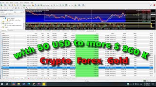 Profitability Automatically with 50 USD to more  960 K  Crypto Forex Gold [upl. by Amiel]