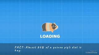 Guinea Pig Bridge Hard Level and New Pig [upl. by Nial]