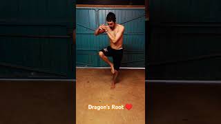 Dragons Root ❤️ kailen martialarts [upl. by Kall]