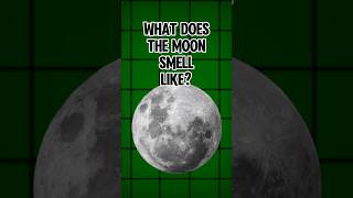 what does the moon smell likes shorts space nasa science [upl. by Nhguaval]