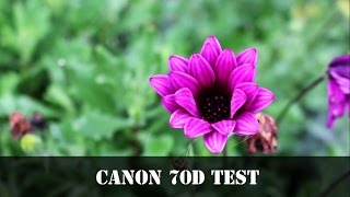 Canon 70d Test Footage 1855mm lense [upl. by Edelstein515]