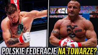 Dlaczego Fame MMA i KSW Są Nietestowane [upl. by Euqinay]