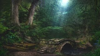 Forest Creek Sounds  3 Hours  Sleep Relax Focus or Meditation [upl. by Ahseinat]