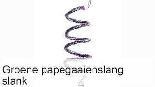 De gewone papegaaienslang is een slanke groene slang [upl. by Atonsah]