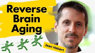 Amazing New Way To Reverse Brain Aging  Jean Hebert  Existential Threads [upl. by Rriocard591]