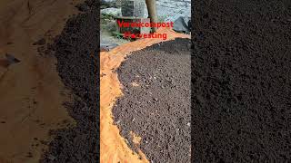 vermicomposting Vermicompost westbengal memari earthworm organicfertilizer [upl. by Dean561]