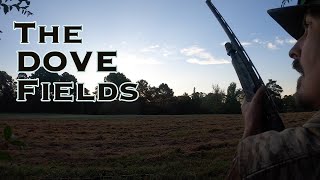 I NEED PRACTICE  Dove Hunting on private dove fields [upl. by Eirrem]