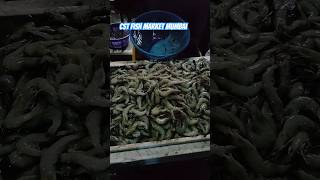 mumbai Colaba fish market video  kaki chi cuttingSkills agrikoli shorts fishingmarket [upl. by Davina42]