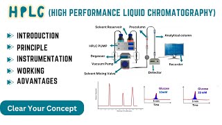 HPLCQuickly understand High Performance Liquid ChromatographyEasy Explanation [upl. by Iur]