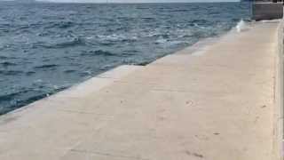 Sea Organ Zadar Croatia [upl. by Snook386]