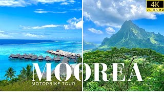 4K MOOREA FRENCH POLYNESIA BY MOTORBIKE FULL ISLAND TOUR IN HEAVEN ON EARTH🇵🇫 [upl. by Ehcropal]