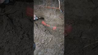 I found a real box treasur ehunt metaldetecting treasurehunt [upl. by Munmro]